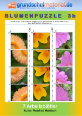 Blumenpuzzle_3b.pdf